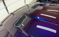 2003-2004 SVT "Terminator" Cobra Hood Vents (Grid Style)