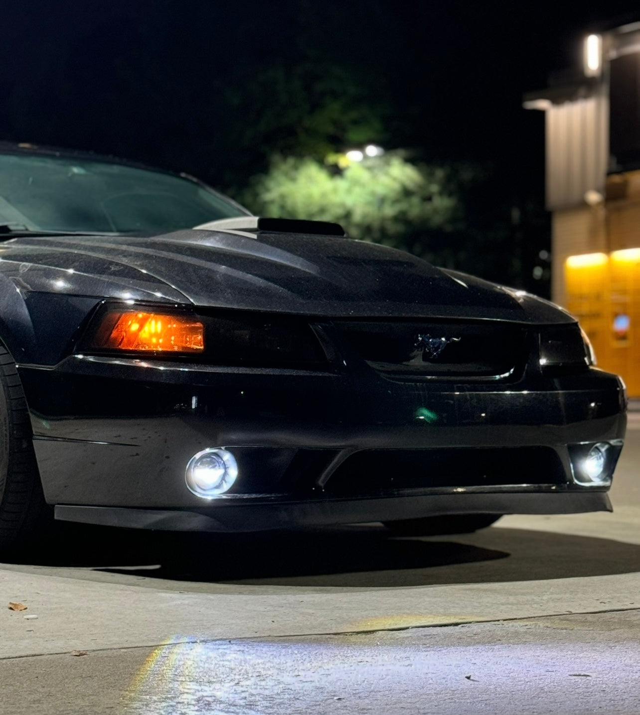 99-01 SVT Cobra Fog Light Upgrade brackets